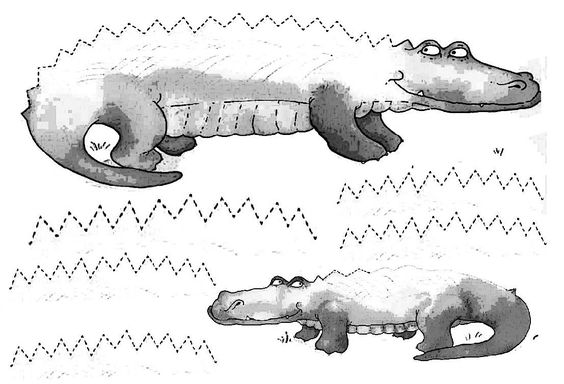 imparare a disegnare coccodrillo