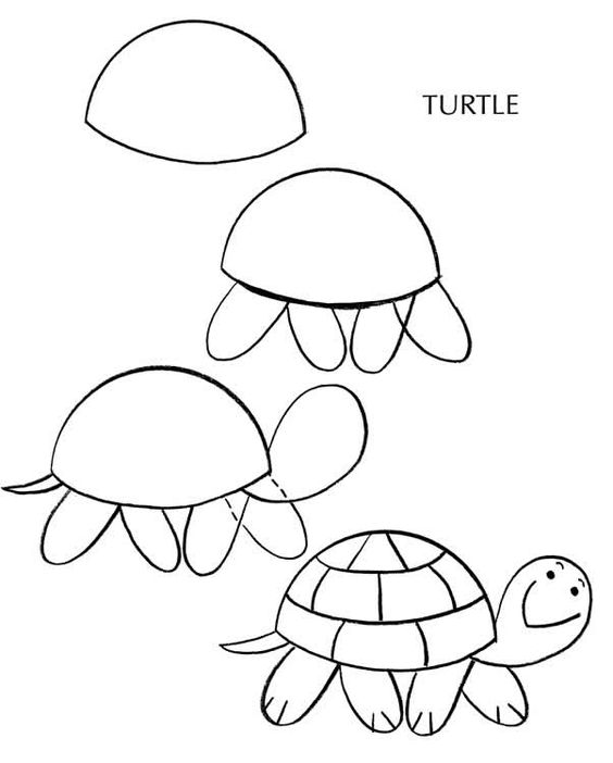 imparare a disegnare tartaruga