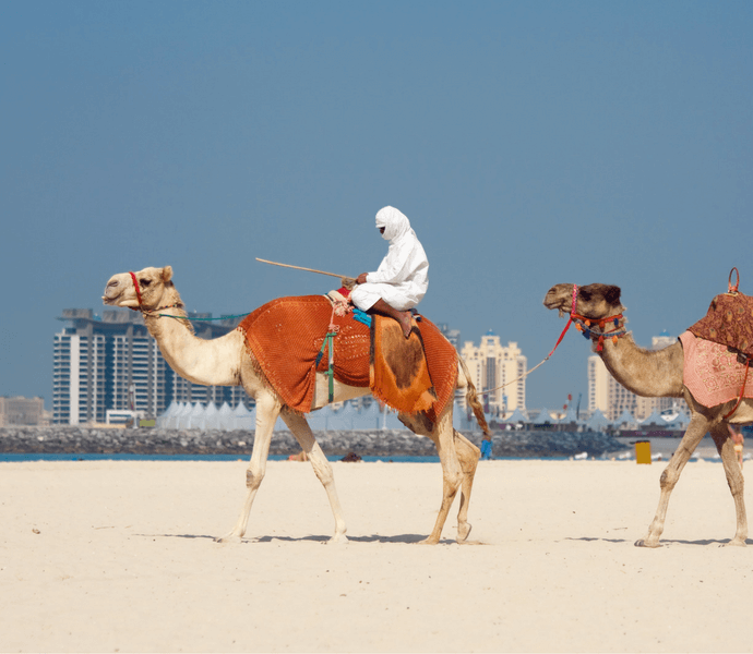 viaggio a Dubai con bambini