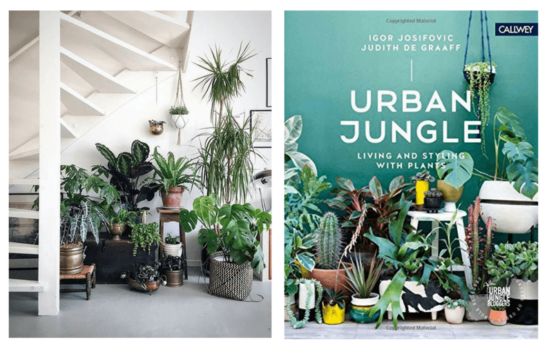 cambio-casa-urban-jungle